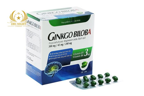 ГИНКГО БИЛОБА (GINKGO BILOBA 240 MG) + B1 + B6, 100 КАПСУЛ, ВЬЕТНАМ