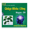 ГИНКГО БИЛОБА (GINKGO BILOBA 120 MG) + MAGNE + B6, 100 КАПСУЛ ВЬЕТНАМ