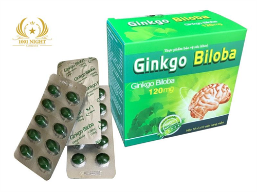 ГИНКГО БИЛОБА (GINKGO BILOBA 120 MG) 100 КАПСУЛ ВЬЕТНАМ